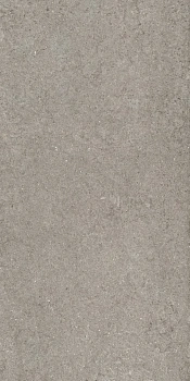 Дискавер Грэй 60X120 Рет