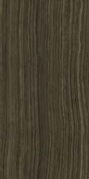 Серфейс Эрамоза 60X120 Lux