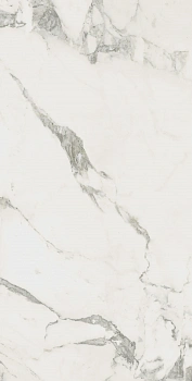 Микеланджело Колд 60X120 Рет