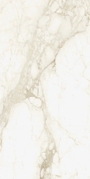 Микеланджело Ворм 60X120 Рет