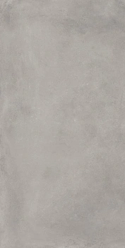 Сан-Сиро Грэй 60X120 Рет