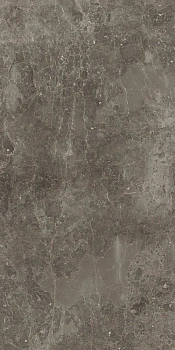 Рум Стоун Грэй 60X120 Пат