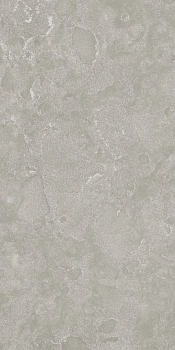 Вояджер Грэй 60X120 Рет