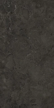Вояджер Блэк 60X120 Рет