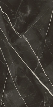 Стелларис Абсолют Блэк 60X120 Шлиф
